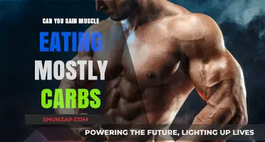 Can You Build Muscle on a High-Carb Diet? The Truth