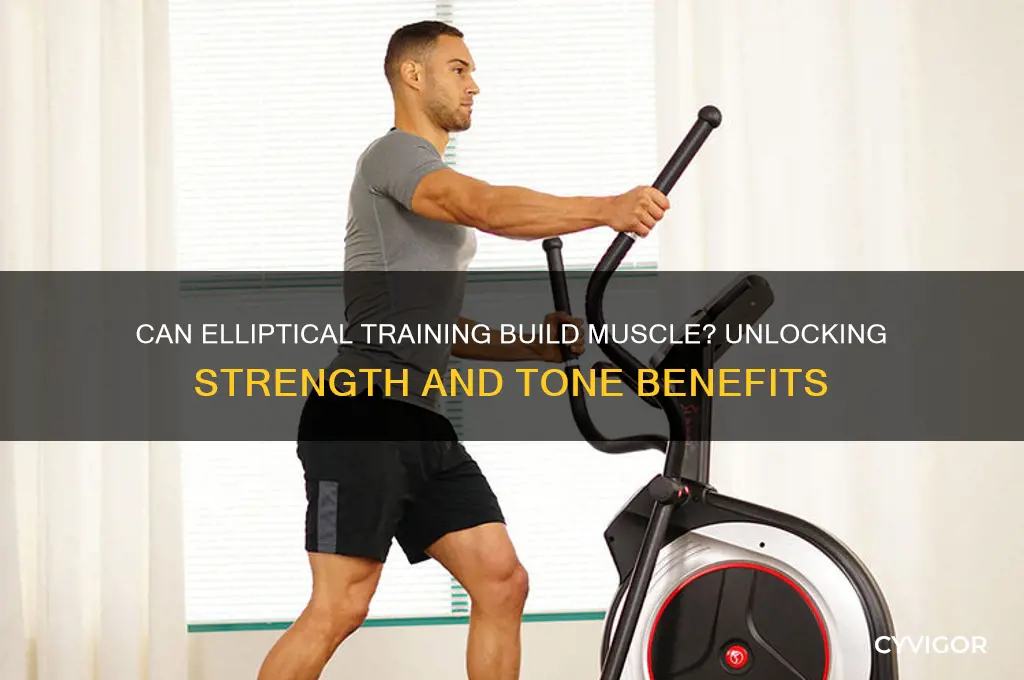 can you gain muscle from elliptical