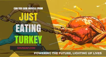 Can Turkey Alone Build Muscle? Nutrition Facts and Fitness Myths