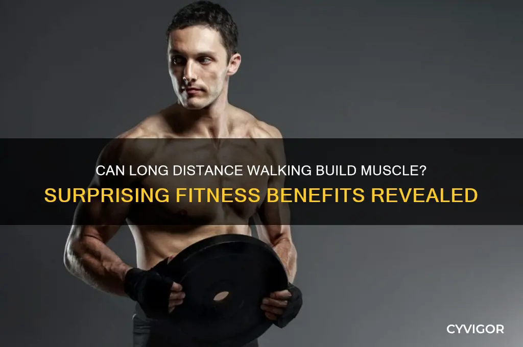 can you gain muscle from long distance walking
