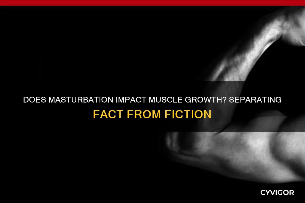 can you gain muscle from masterbation