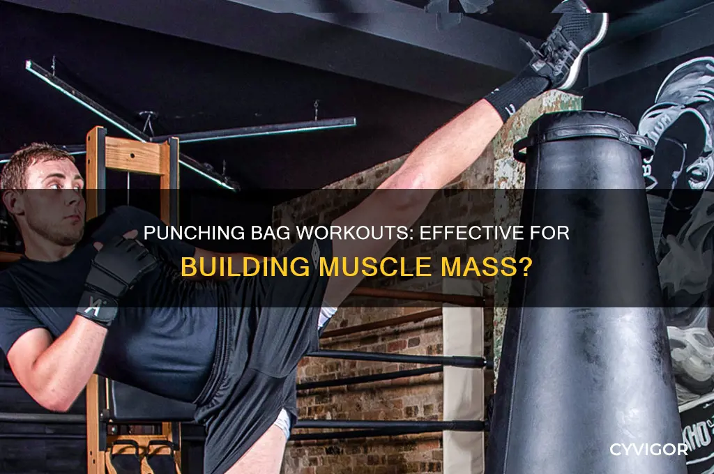 can you gain muscle from punching bag
