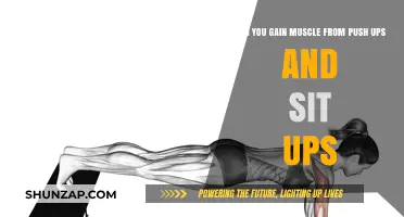 Building Muscle with Push-Ups and Sit-Ups: Fact or Fiction?