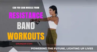 Resistance Bands for Muscle Growth: Effective Workouts for Strength Gains