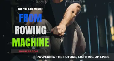 Rowing Machine Muscle Gains: Can You Build Strength and Size?