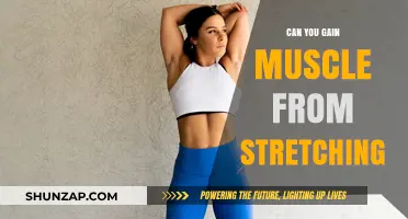 Stretching for Strength: Can Flexibility Training Build Muscle?