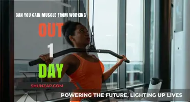 One-Day Workouts: Can You Build Muscle with Minimal Training?