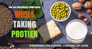 Vegan Muscle Gains: Protein Supplements for Plant-Based Strength Building