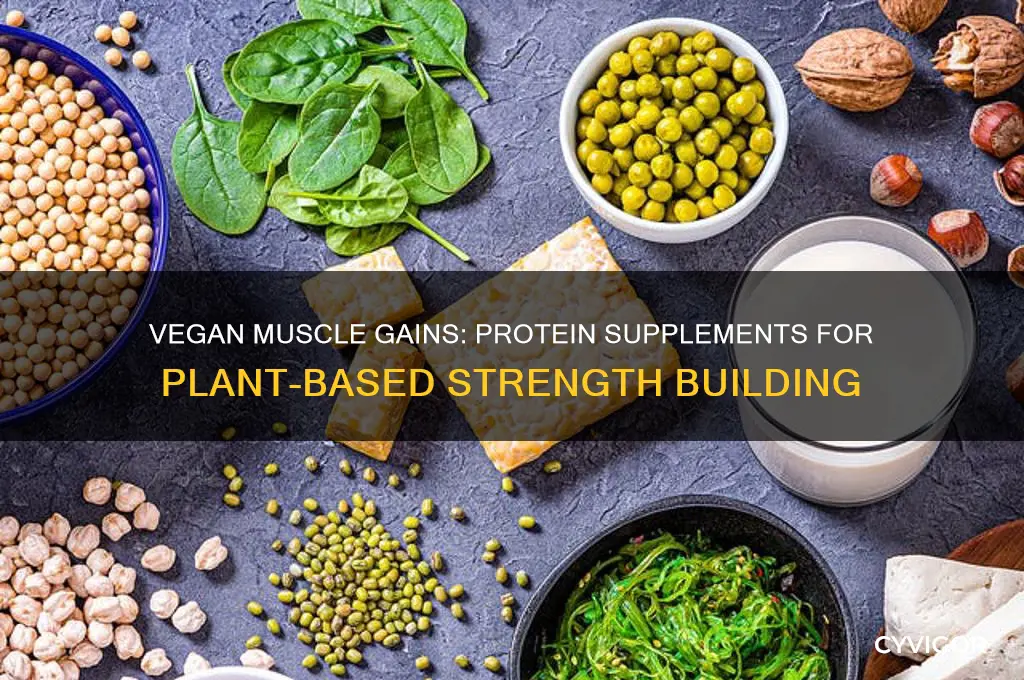 can you gain muscle going vegan while taking protien