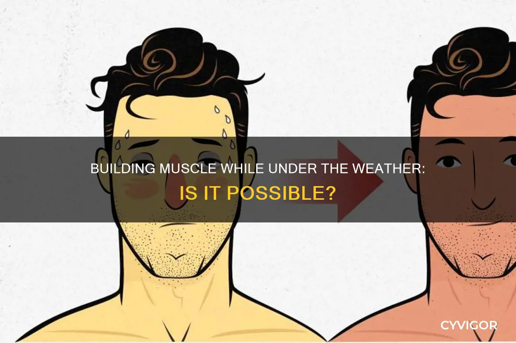 can you gain muscle if youre sick