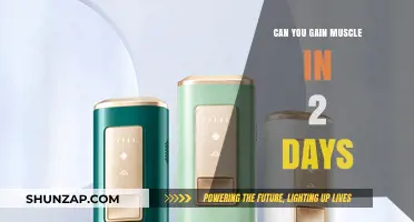 Can You Build Muscle in 2 Days? The Truth Revealed