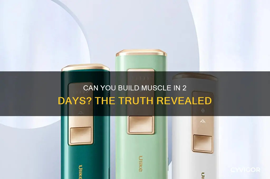 can you gain muscle in 2 days