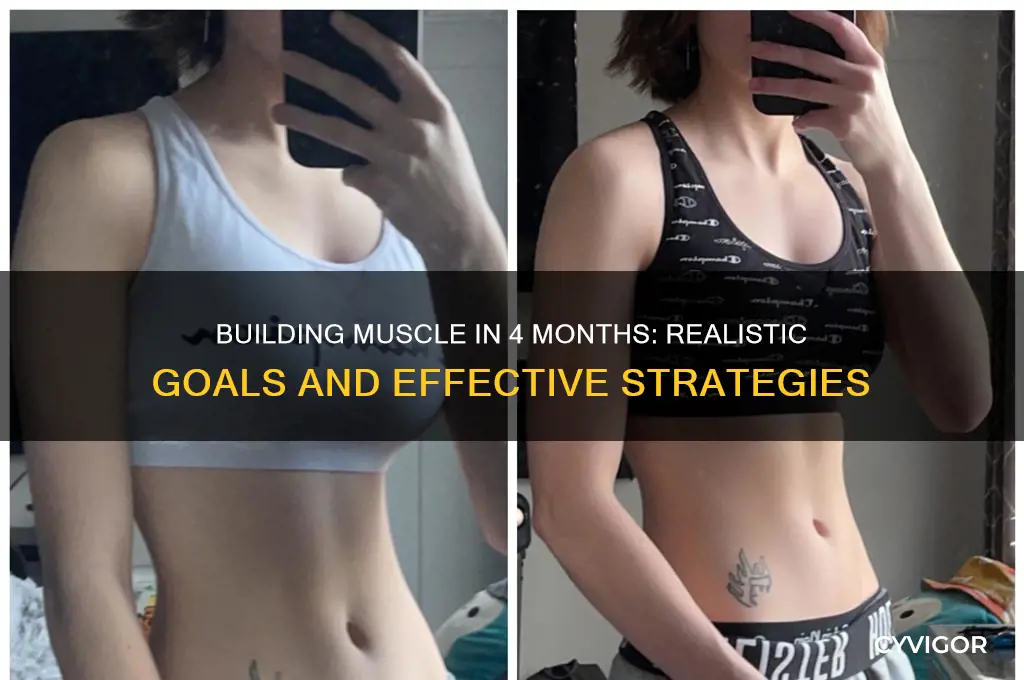 can you gain muscle in 4 months