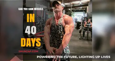 Building Muscle in 40 Days: Is Rapid Transformation Possible?