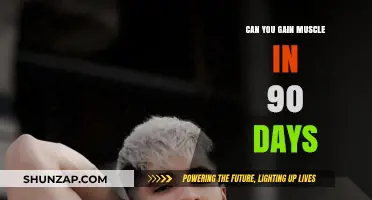 Building Muscle in 90 Days: Is Rapid Transformation Possible?