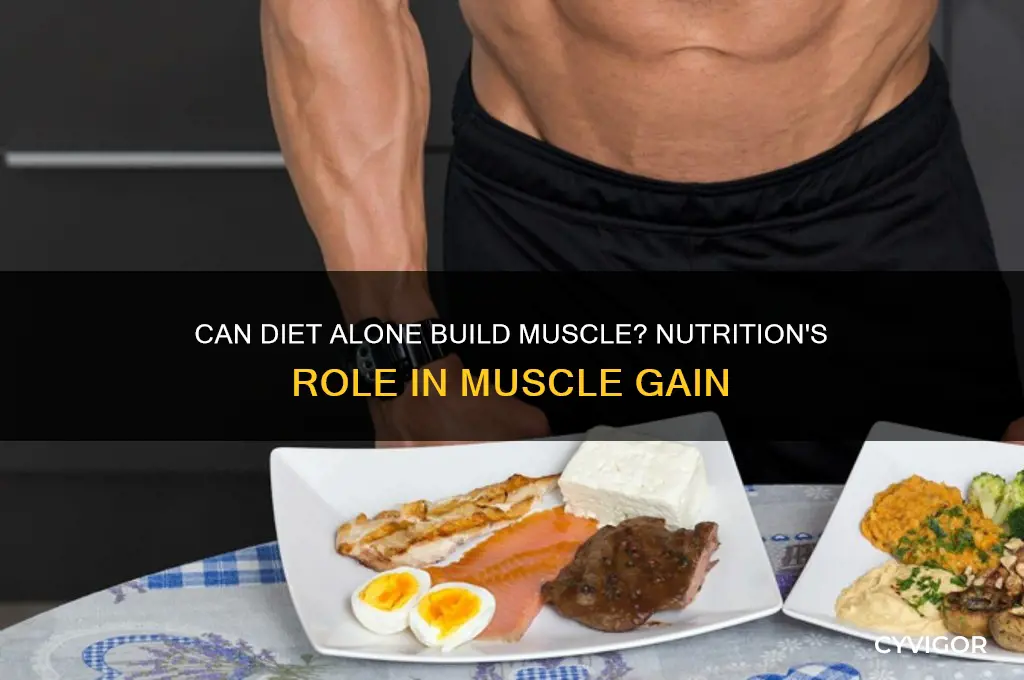 can you gain muscle just by dieting