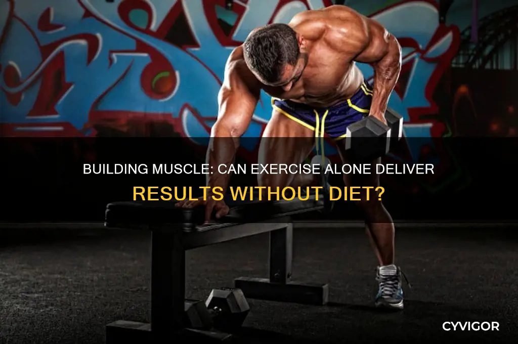 can you gain muscle just by working out