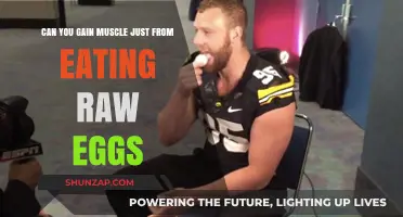 Raw Eggs for Muscle Gain: Fact or Fiction?