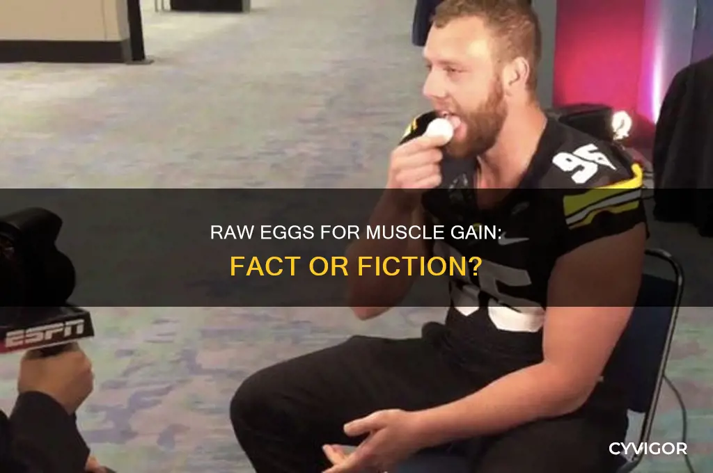 can you gain muscle just from eating raw eggs