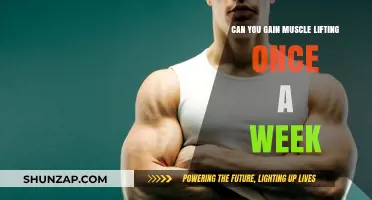 Can You Build Muscle Lifting Once Weekly? The Surprising Truth