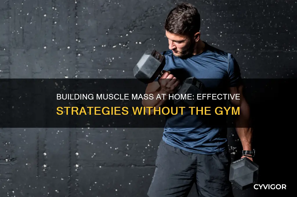 can you gain muscle mass at home