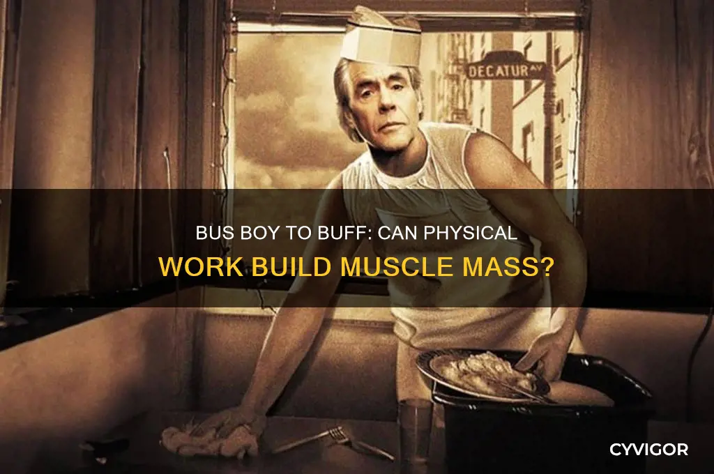can you gain muscle mass by being a bus boy