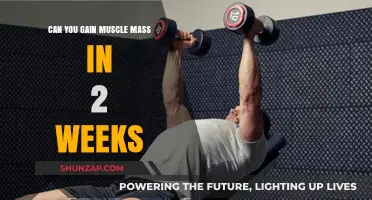 Rapid Muscle Growth: Is 2 Weeks Enough for Visible Gains?