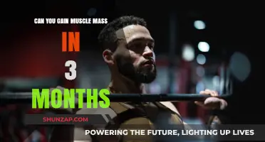 Building Muscle Mass: Achievable 3-Month Transformation Strategies Revealed