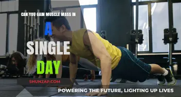 Can You Build Muscle Mass in Just One Day?