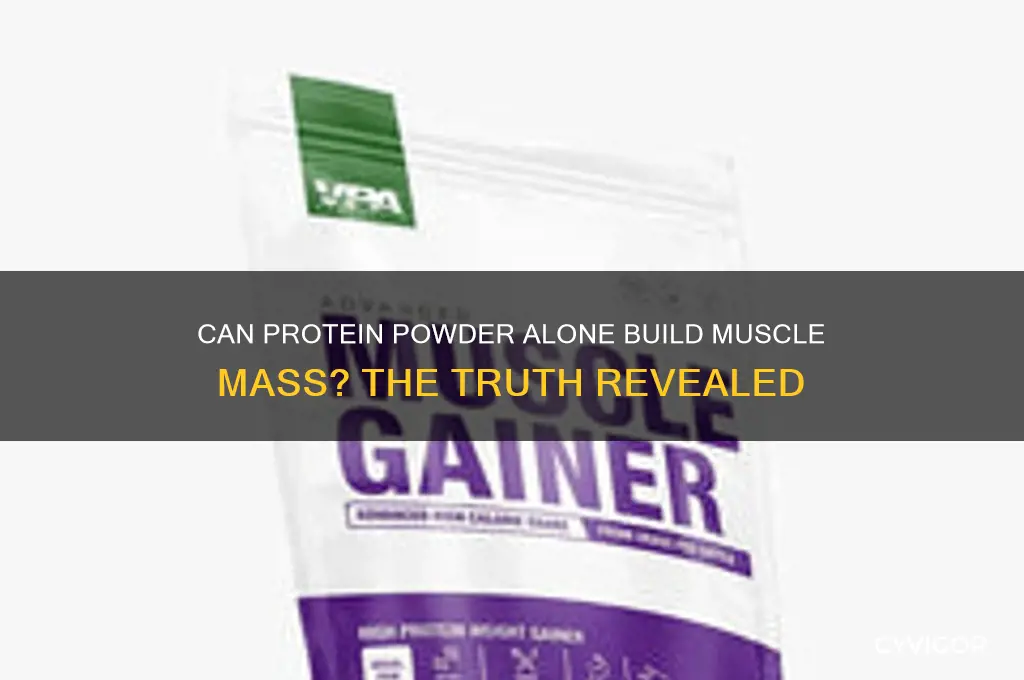 can you gain muscle mass just drinking protein powder