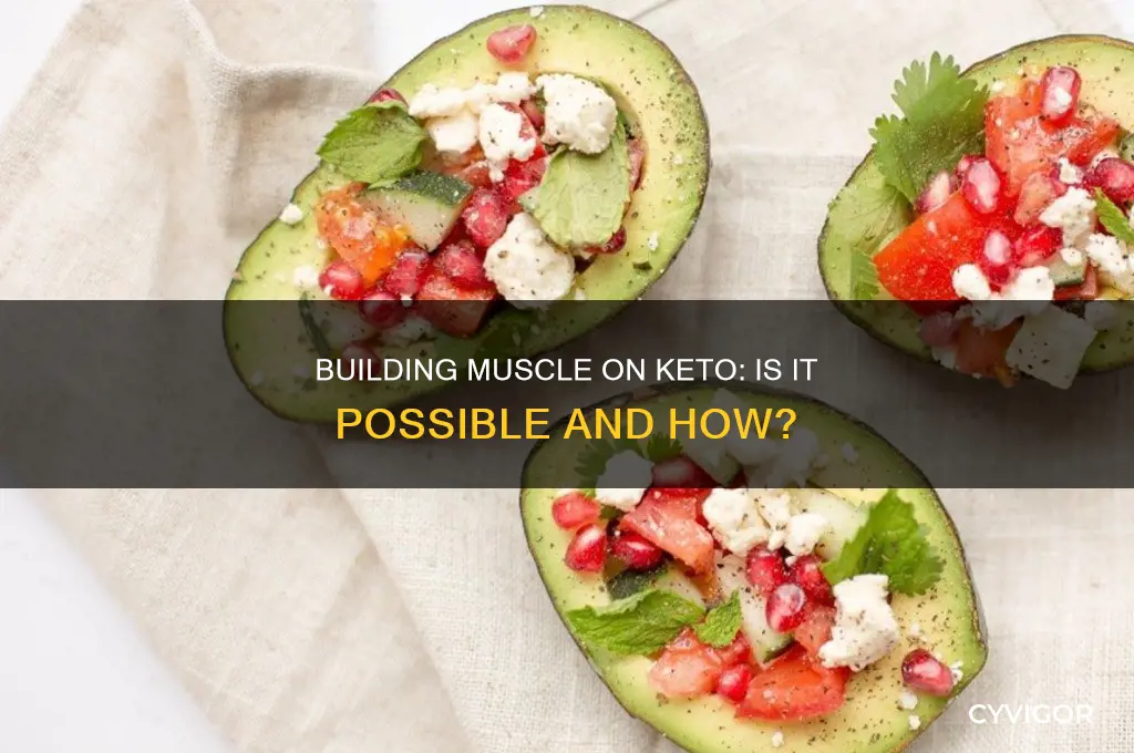 can you gain muscle mass on a keto diet