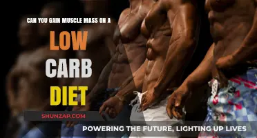 Building Muscle on Low Carb: Fact or Fitness Myth?