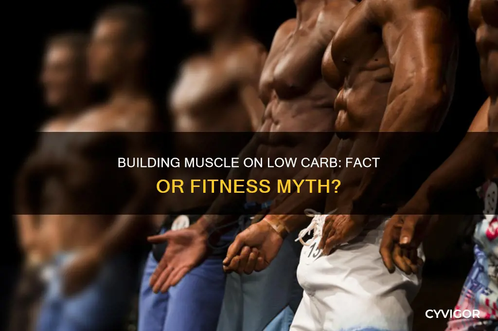 can you gain muscle mass on a low carb diet