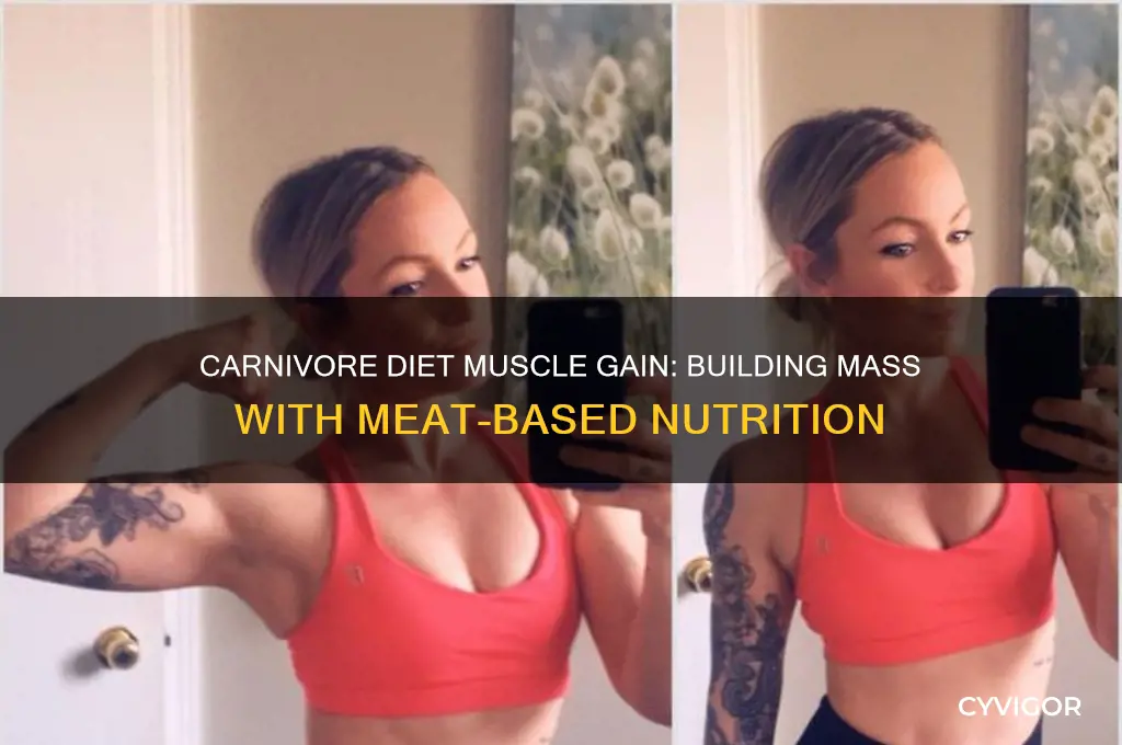 can you gain muscle mass on carnivore diet