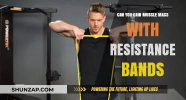 Building Muscle Mass: The Surprising Power of Resistance Bands