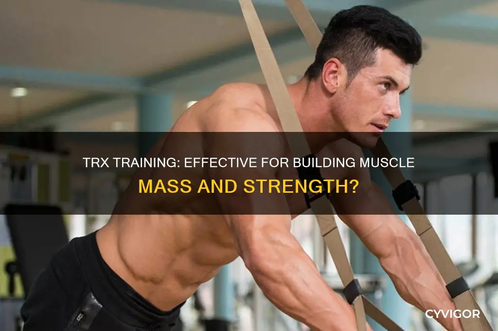 can you gain muscle mass with trx