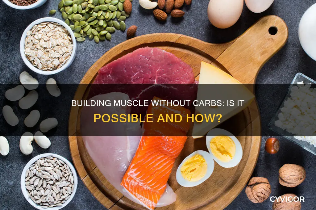can you gain muscle mass without carbs