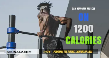 Building Muscle on 1200 Calories: Is It Really Possible?
