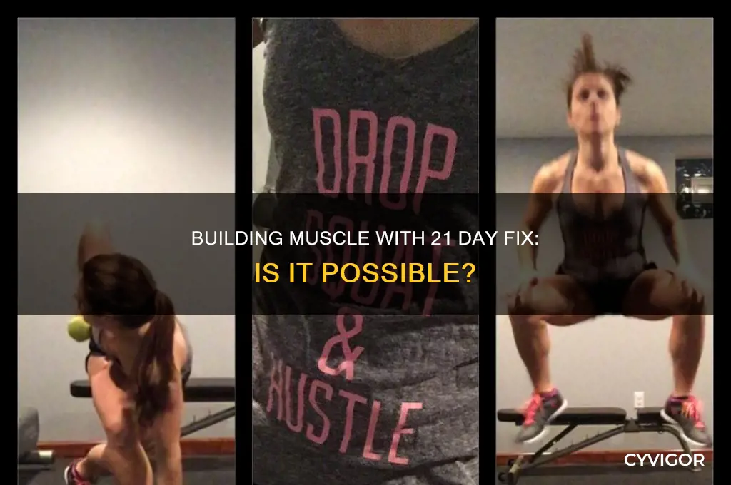 can you gain muscle on 21 day fix