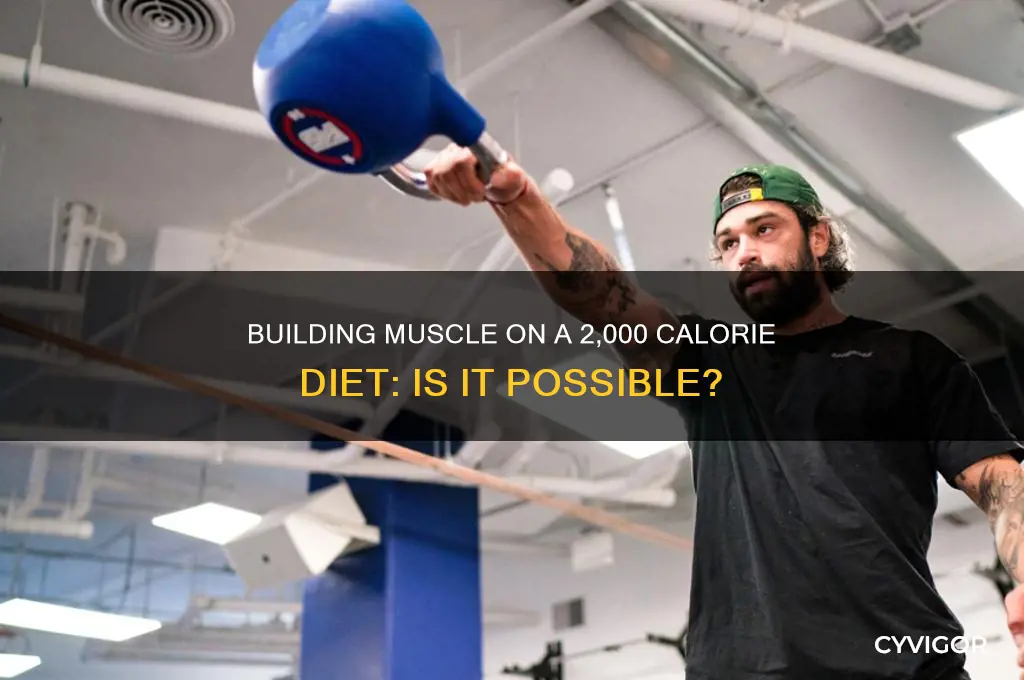 can you gain muscle on a 2k diet