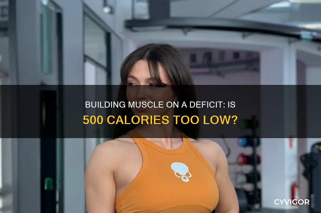 can you gain muscle on a 500 calorie deficit