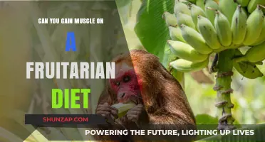 Building Muscle on a Fruitarian Diet: Is It Possible?