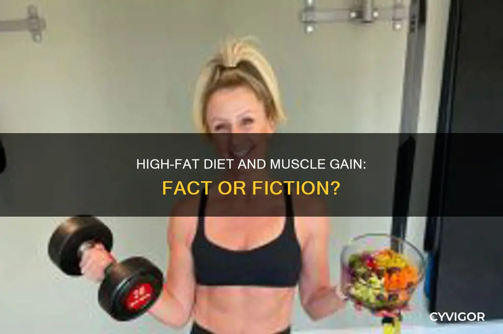 can you gain muscle on a high fat diet
