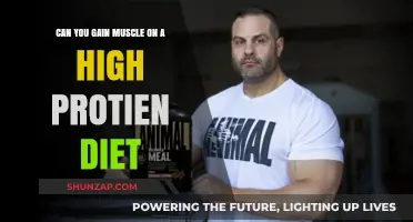 High-Protein Diets and Muscle Gain: Fact or Fiction?