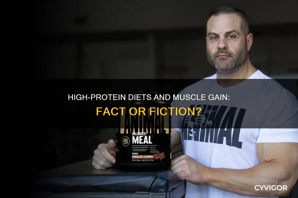 can you gain muscle on a high protien diet