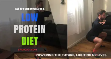 Building Muscle on Low Protein: Is It Possible?