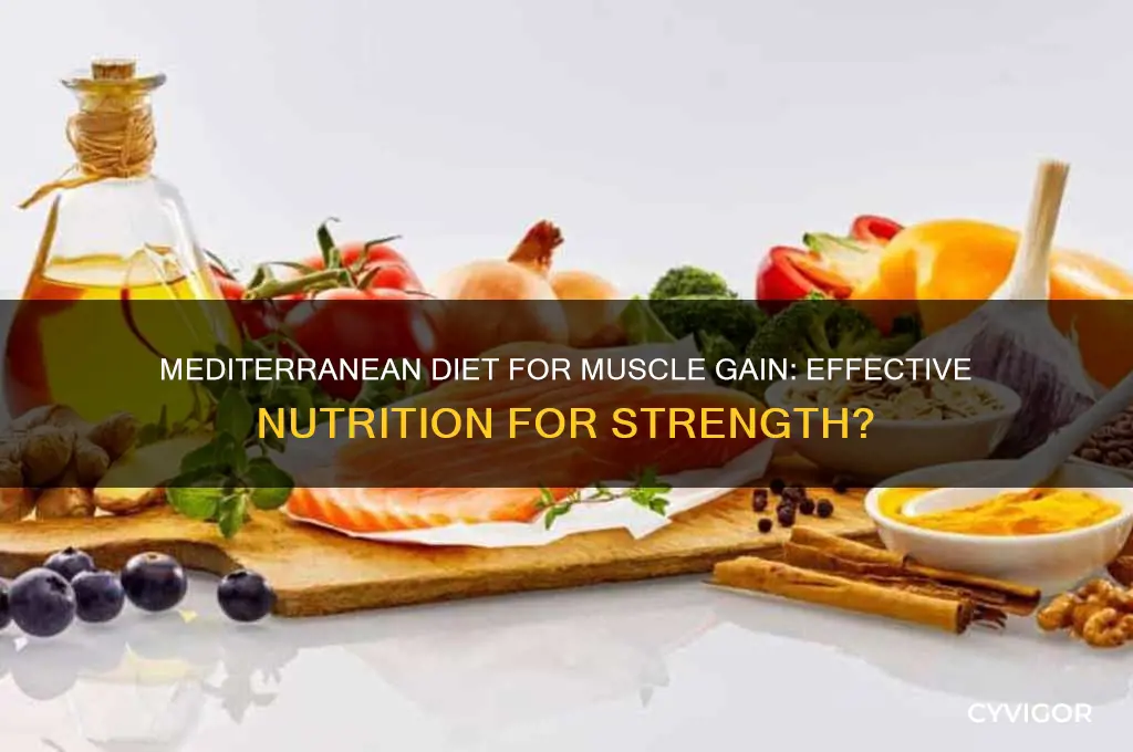 can you gain muscle on a mediterranean diet