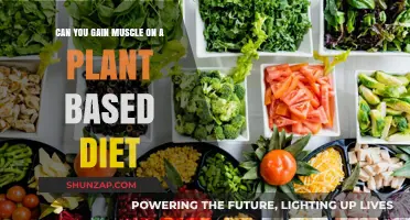 Building Muscle on Plants: The Power of Plant-Based Nutrition