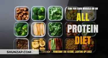 Can You Build Muscle on an All-Protein Diet? Facts Revealed