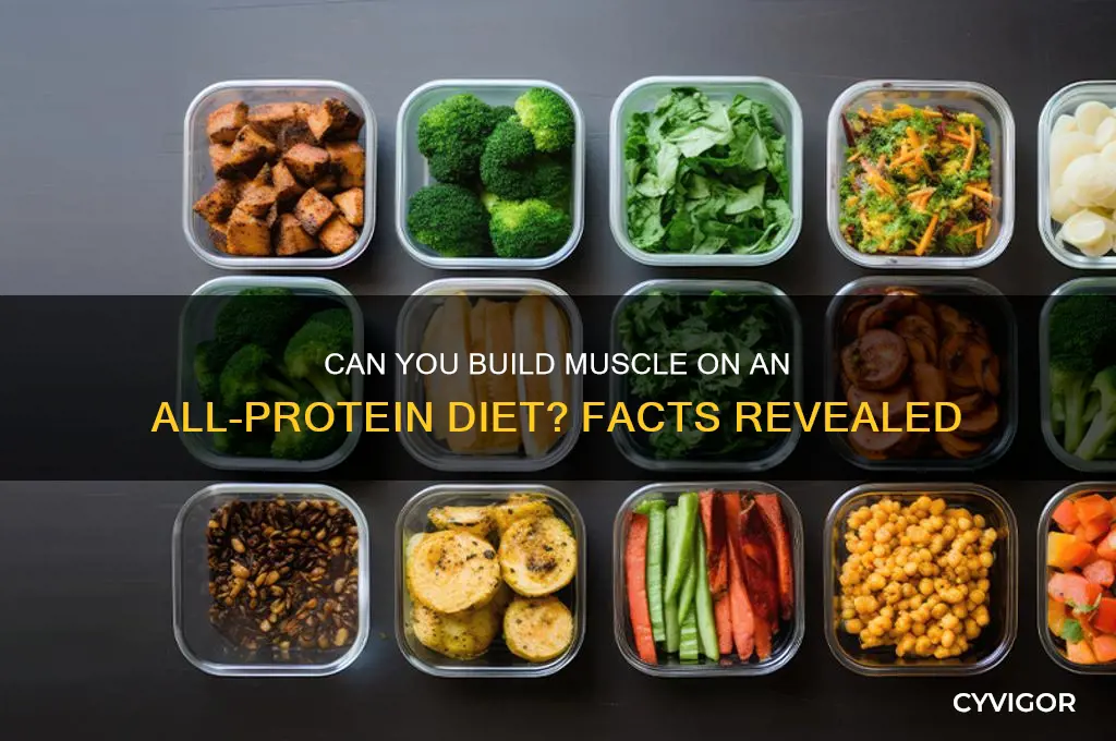 can you gain muscle on an all protein diet